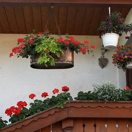 Stock Appartamento Rinn