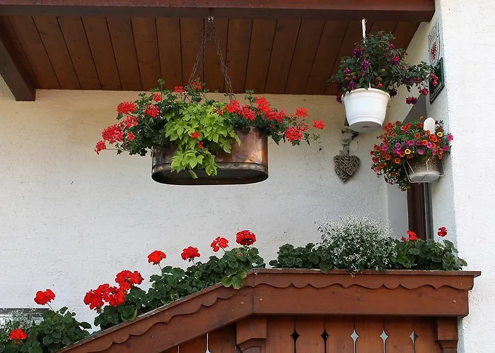 Stock 아파트 Rinn